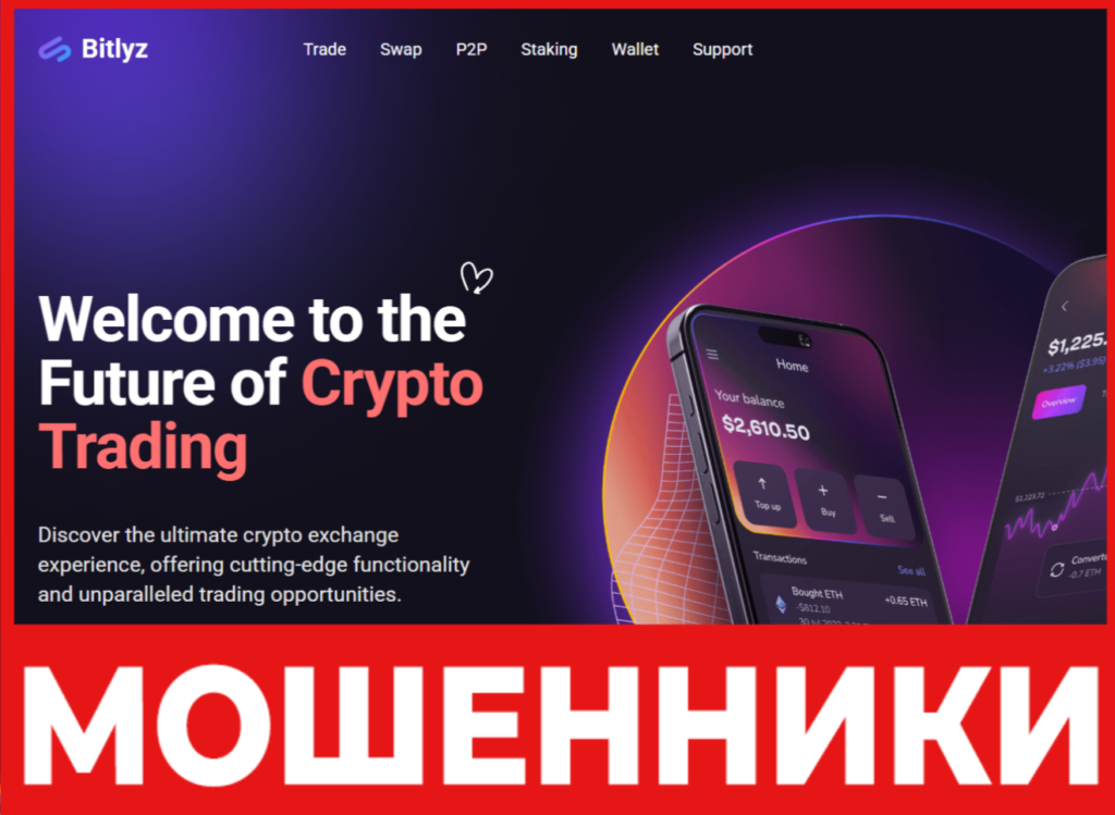 Bitlyz лицевая сторона скрин