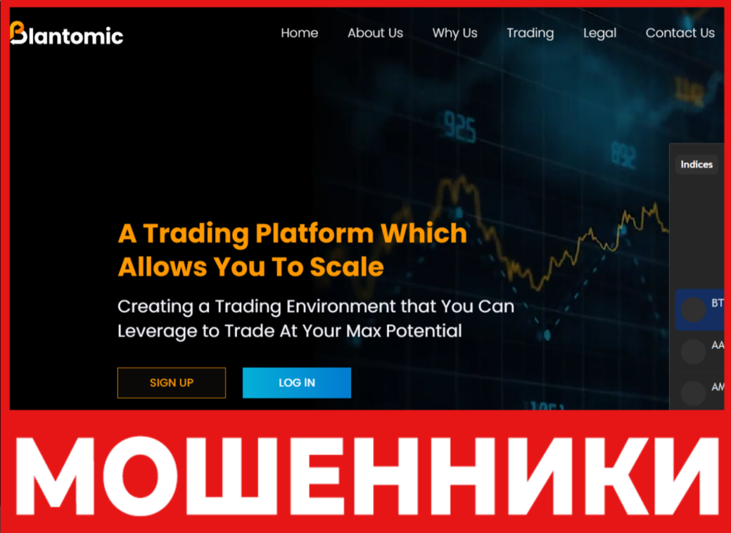 Blantomic лицевая сторона скрин