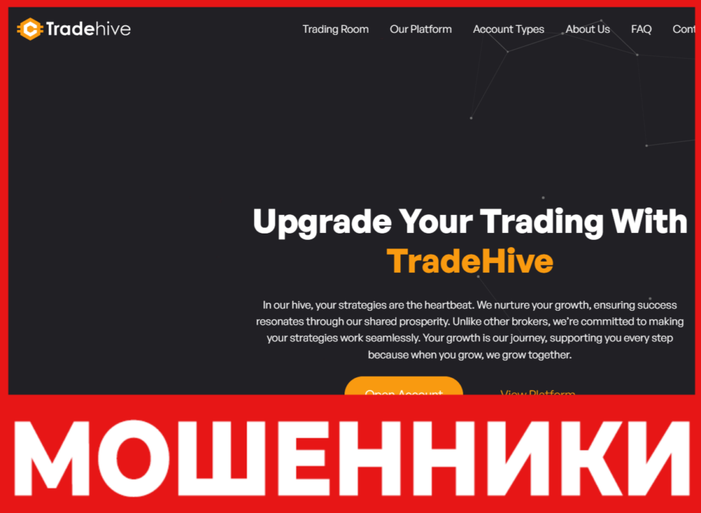 Trade Hive лицевая сторона скрин
