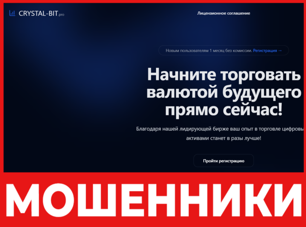 Crystal-Bit лицевая сторона скрин