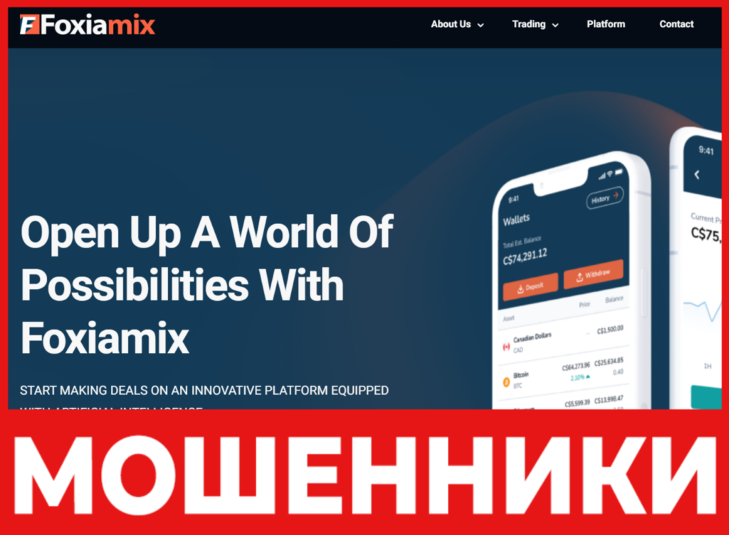 FoxiaMix лицевая сторона скрин