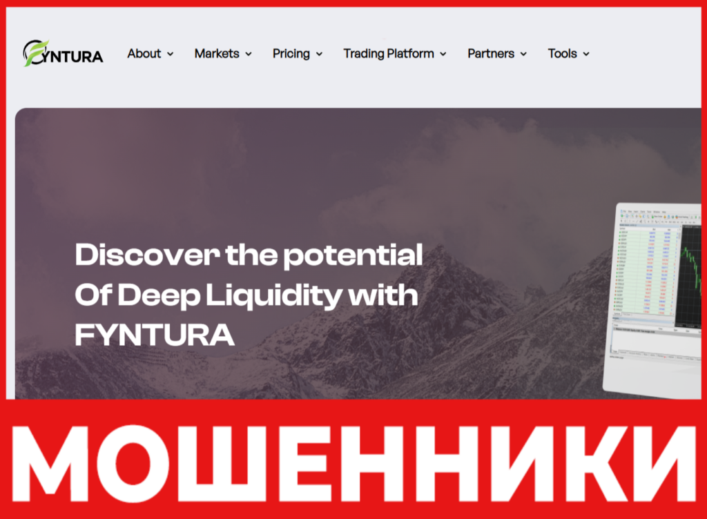 Fyntura лицевая сторона скрин