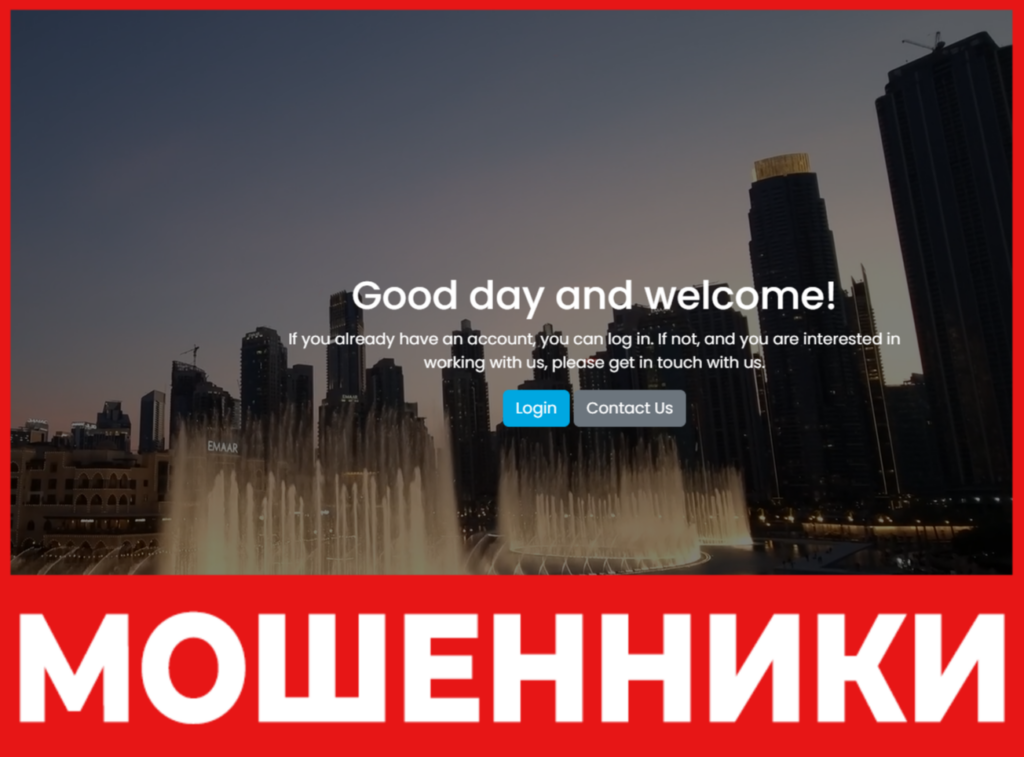 MS Capital Fund лицевая сторона скрин