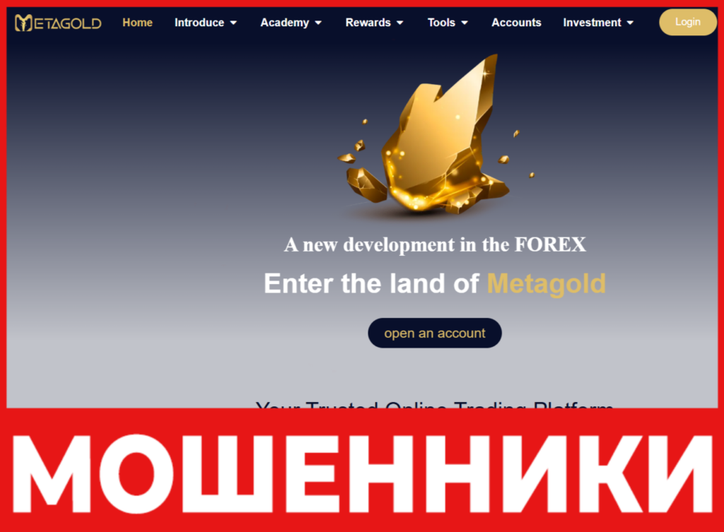 MetaGold лицевая сторона скрин