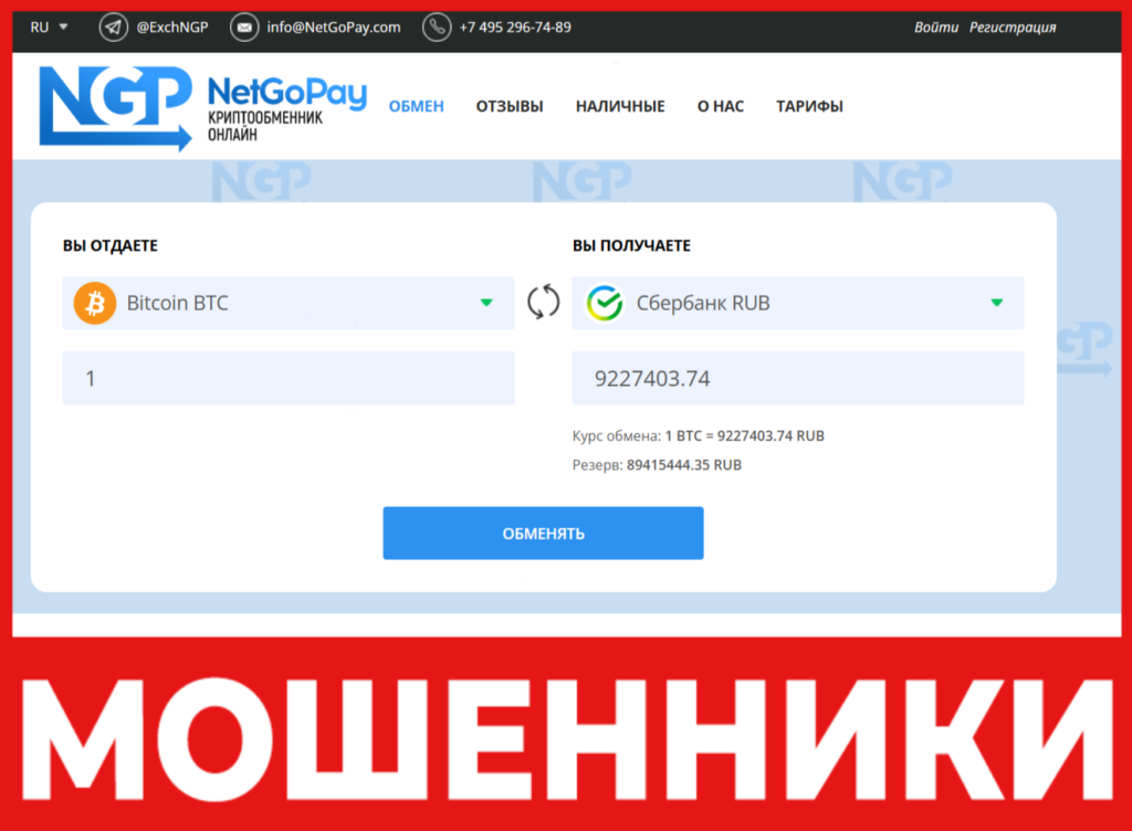 NetGoPay лицевая сторона скрин