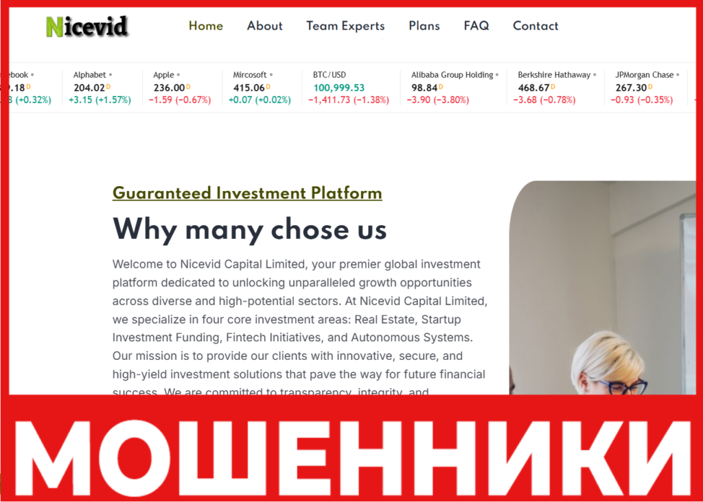Nicevid Capital Limited лицевая сторона скрин