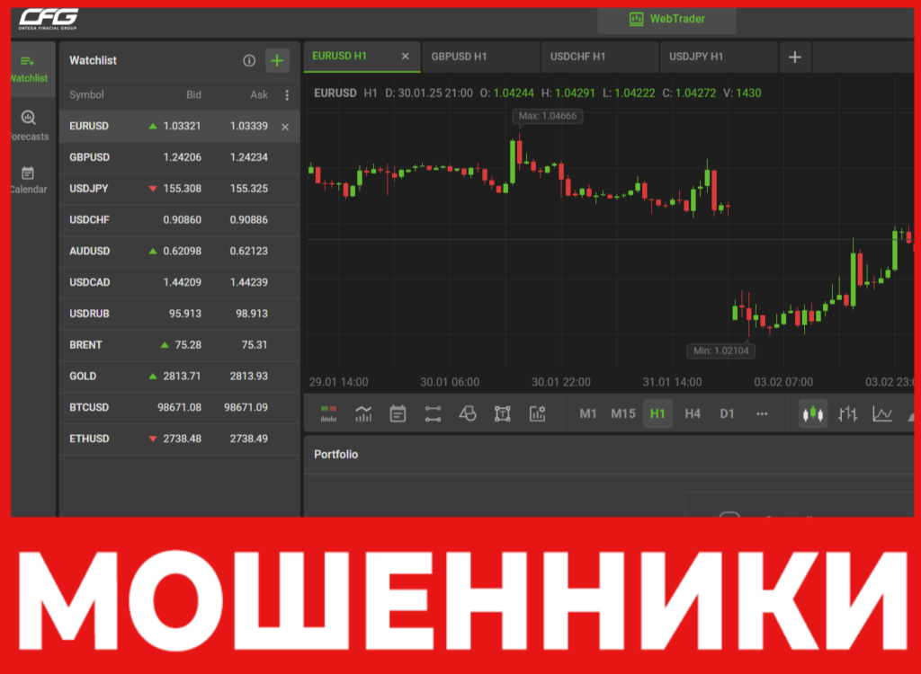 Ortega Financial Group лицевая сторона скрин