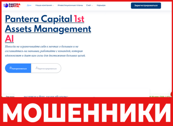 Pantera capitals лицевая сторона скрин