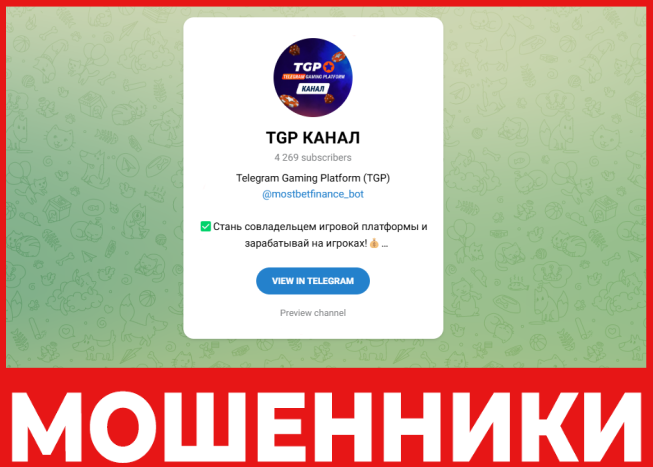 TGP КАНАЛ лицевая сторона скрин