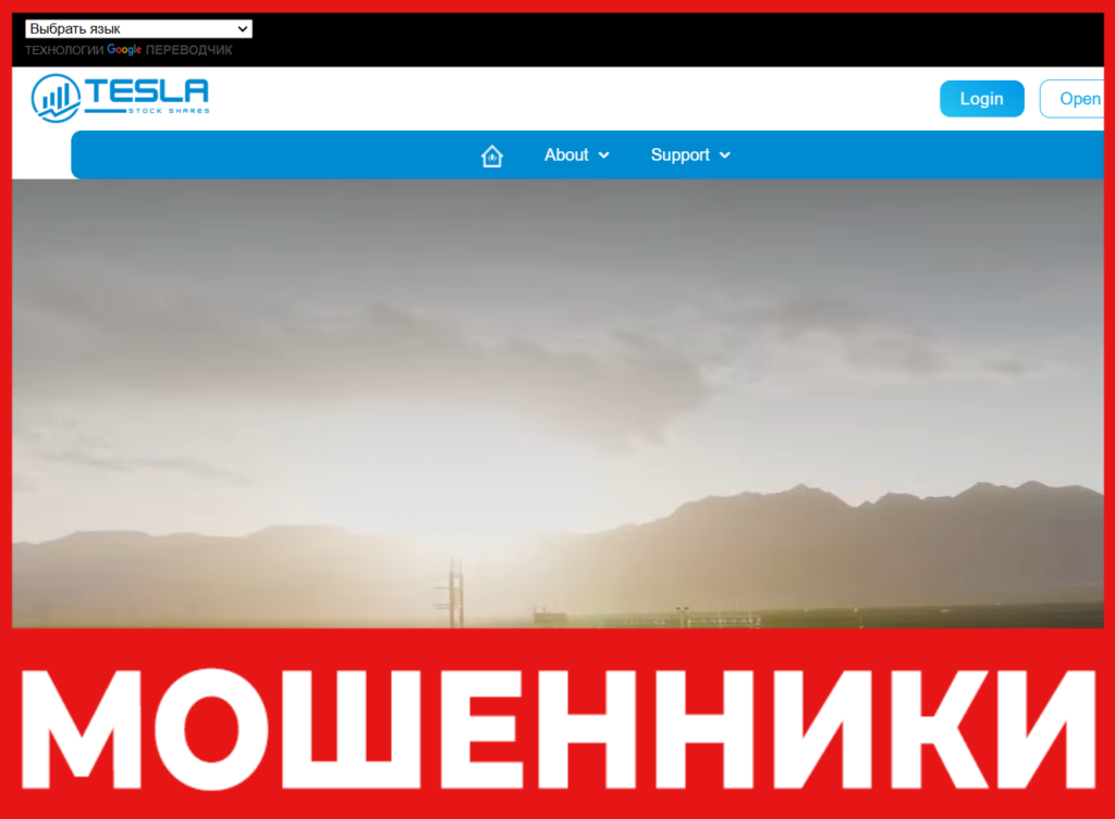 Tesla Stock Shares лицевая сторона скрин