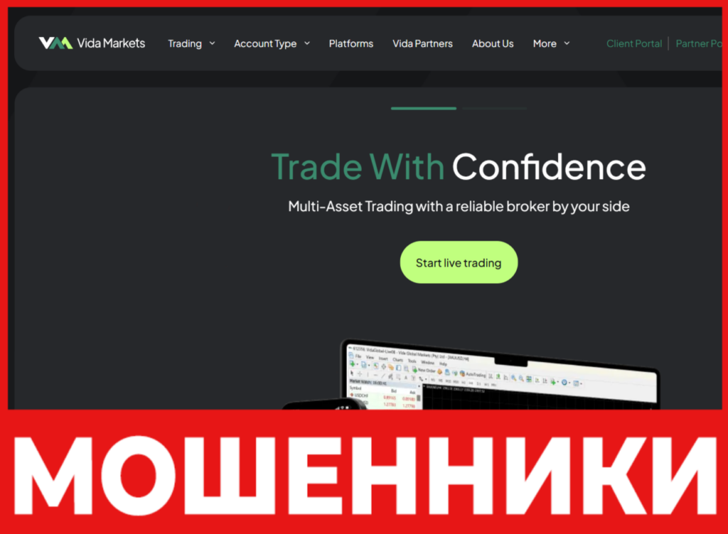Vida Markets лицевая сторона скрин