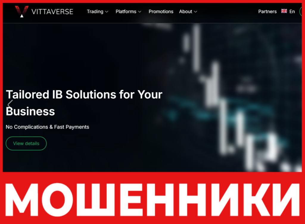 Vittaverse лицевая сторона скрин