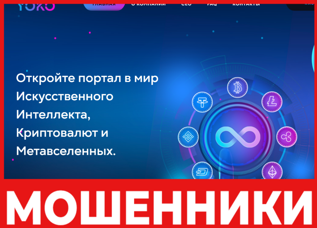 YOKO лицевая сторона скрин