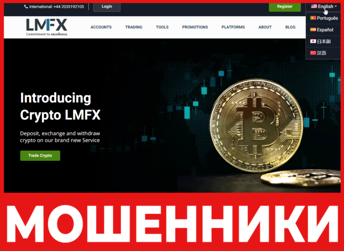 Lmfx лицевая сторона скрин