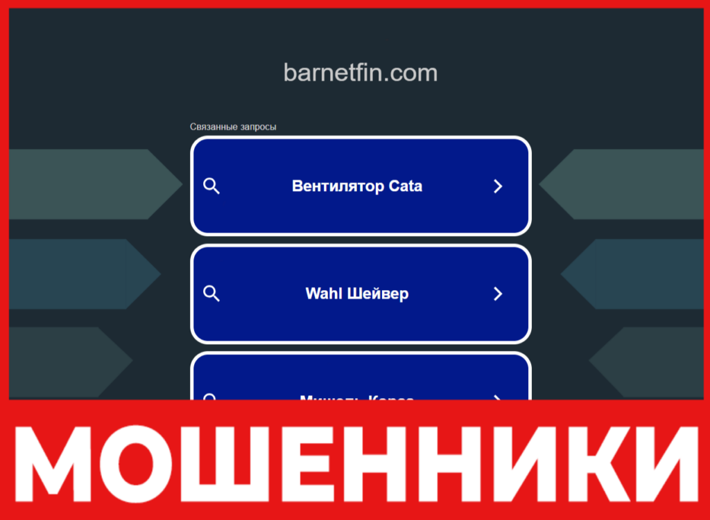 Barnetfin лицевая сторона скрин