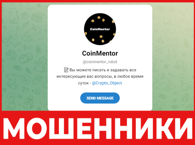 CoinMentor лицевая сторона скрин