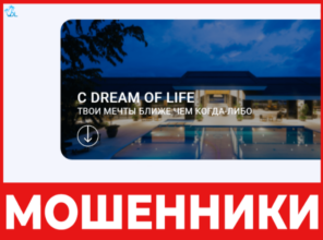 Dream Of Life лицевая сторона скрин