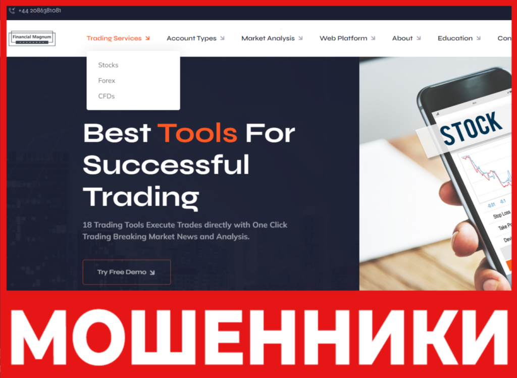 Financial Magnum лицевая сторона скрин