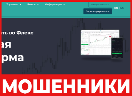 Flex Options - лицевая сторона, скрин