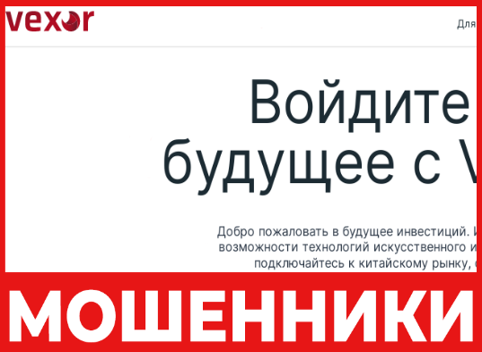 Vexor.ai - лицевая сторона, скрин
