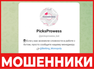 PicksProwess - лицевая сторона, скрин