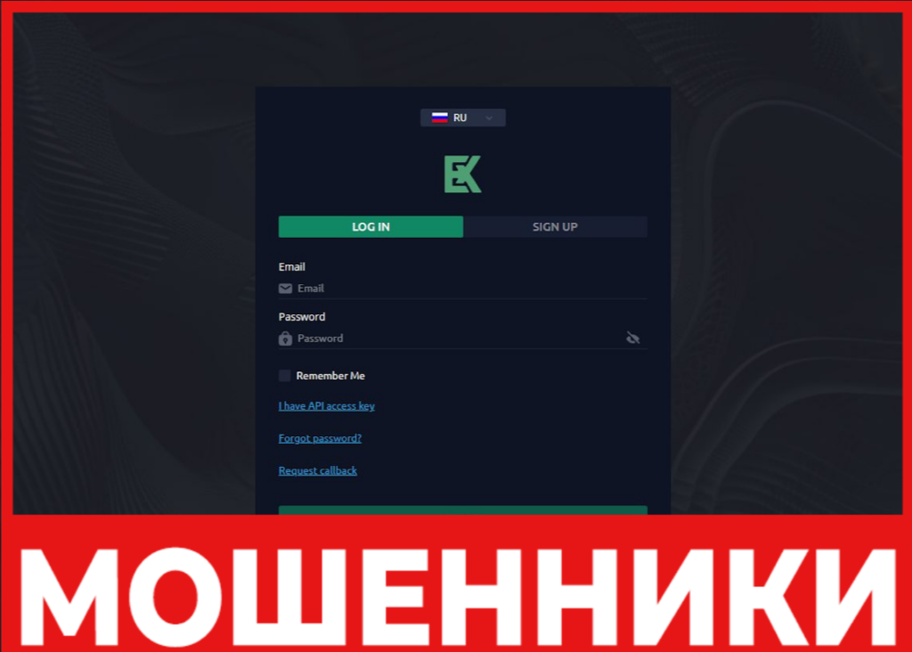 Exa Gora Life - лицевая сторона, скрин