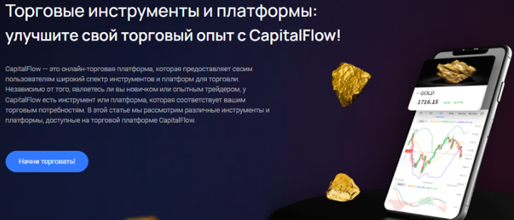 Project Capital Flow 1 скрин