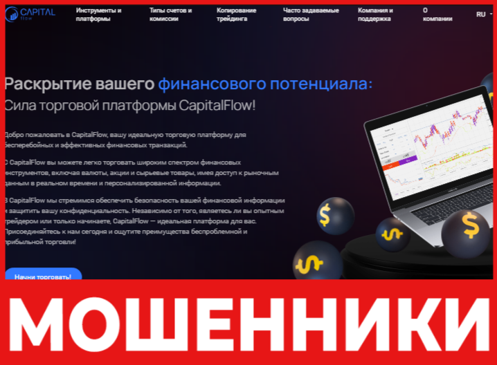 Project Capital Flow лицевая сторона скрин