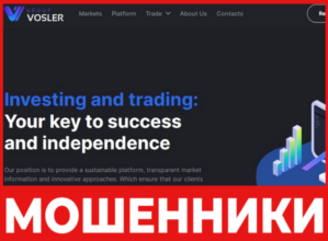 VoslerGroup лицевая сторона скрин