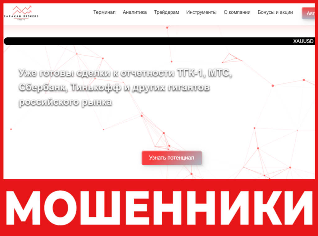 Barakah Brokers лицевая сторона скрин