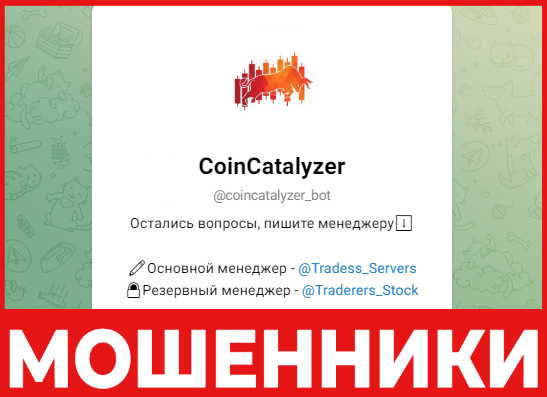 CoinCatalyzer лицевая сторона скрин