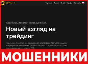 EVMcfx лицевая сторона скрин