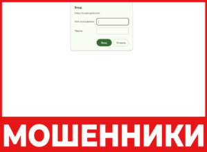 Scodecapital лицевая сторона скрин