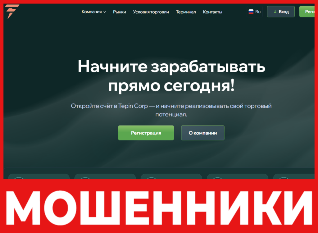 Tepin Corp лицевая сторона скрин