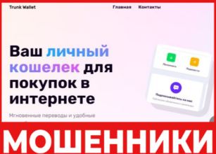 TrunkWallet лицевая сторона скрин