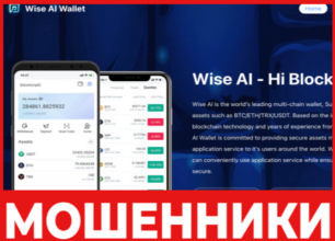 WiseAIWallet лицевая сторона скрин