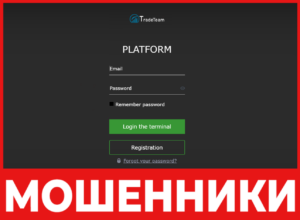 WW Trade лицевая сторона скрин