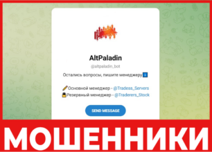 AltPaladin лицевая сторона скрин