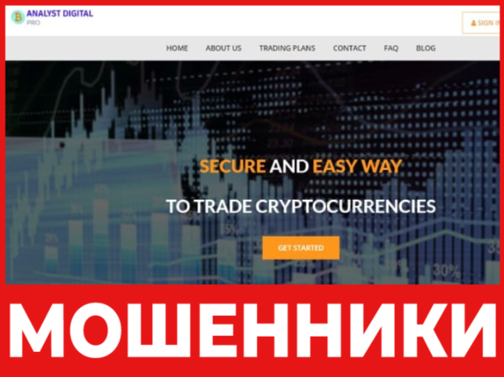 Analyst Digital Pros Inc лицевая сторона скрин