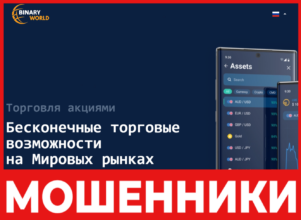 BinWorld лицевая сторона скрин