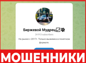 Биржевой Мудрец лицевая сторона скрин