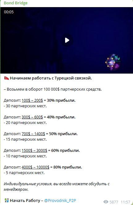 Bond Bridge_1 скрин