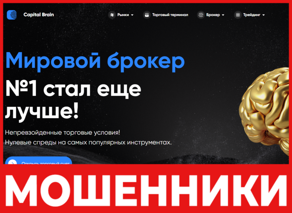 CapitalBrain лицевая сторона скрин