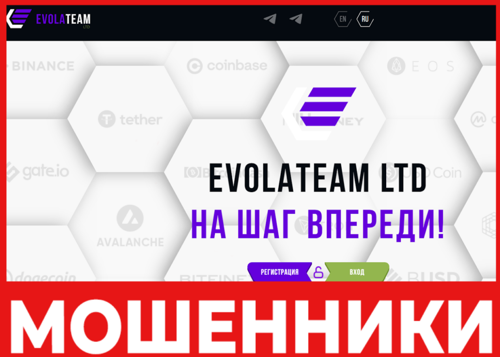 evola team лицевая сторона скрин