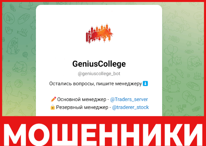 GeniusCollege лицевая сторона скрин