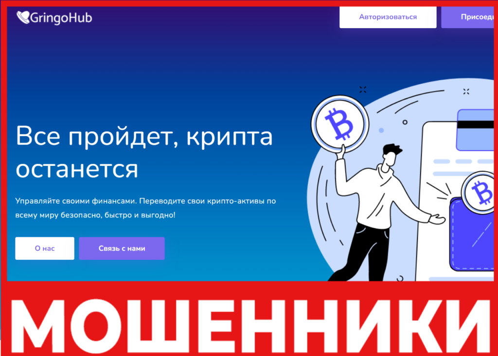 Gringohub лицевая сторона скрин