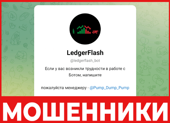 LedgerFlash лицевая сторона скрин