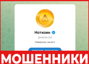 Notcoin лицевая сторона скрин