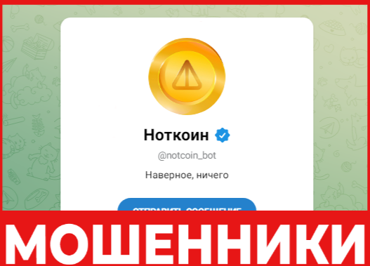 Notcoin лицевая сторона скрин