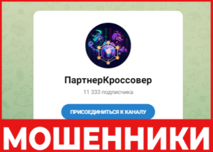 Партнер Кроссовер лицевая сторона скрин